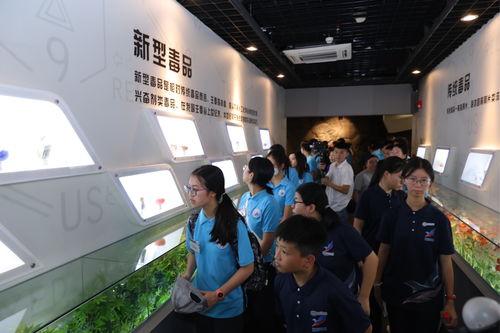 粵港澳大灣區(qū)禁毒文化交流活動在深圳舉行，以文化藝術(shù)助力禁毒宣傳